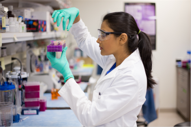MSC add seven new substances to the SVHC and update the entry for BPA